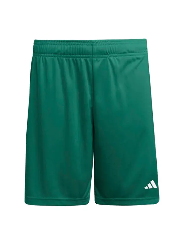 ADIDAS PERFORMANCE ADIDAS PERFORMANCE Športne hlače 'ENT26'  zelena
