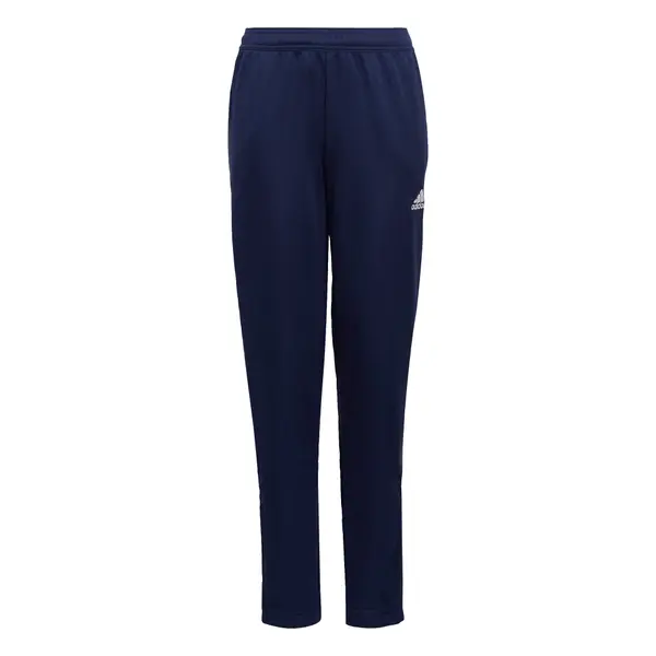ADIDAS PERFORMANCE ADIDAS PERFORMANCE Športne hlače 'Entrada 22'  modra / bela
