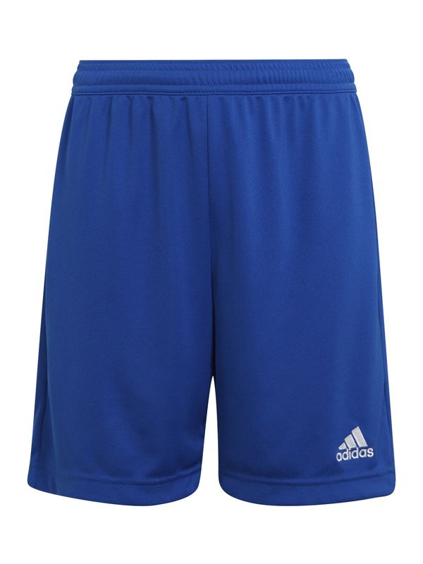 Adidas ADIDAS PERFORMANCE Športne hlače 'Entrada 22'  temno modra / bela