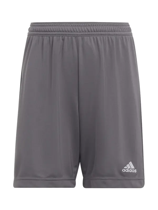 ADIDAS PERFORMANCE ADIDAS PERFORMANCE Športne hlače 'Entrada 22'  temno siva / bela