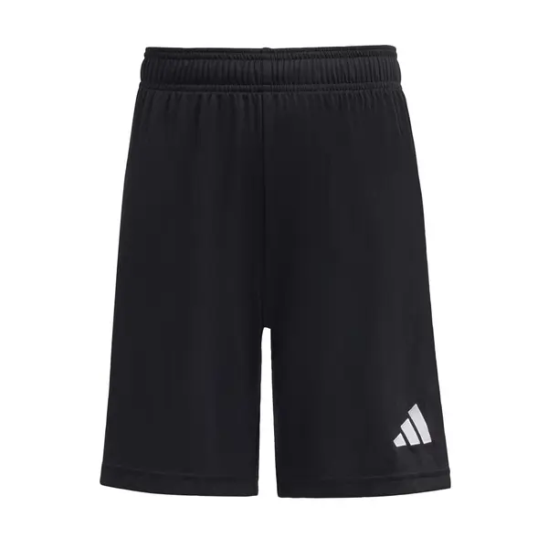 ADIDAS PERFORMANCE ADIDAS PERFORMANCE Športne hlače 'Entrada26'  črna / bela