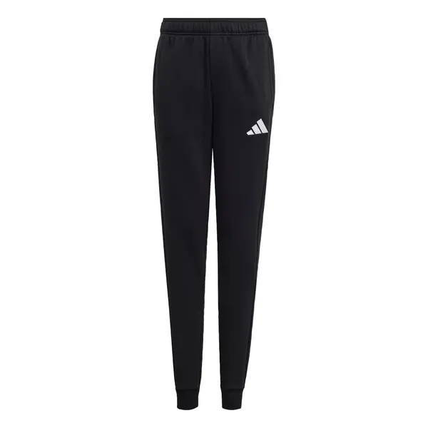 ADIDAS PERFORMANCE ADIDAS PERFORMANCE Športne hlače 'Entrada26'  črna / bela