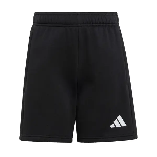 ADIDAS PERFORMANCE ADIDAS PERFORMANCE Športne hlače 'Entrada26'  črna / bela