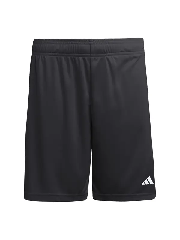 ADIDAS PERFORMANCE ADIDAS PERFORMANCE Športne hlače 'Entrada26'  črna / bela