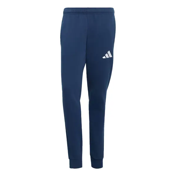 ADIDAS PERFORMANCE ADIDAS PERFORMANCE Športne hlače 'Entrada26'  mornarska / bela