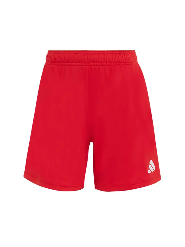 ADIDAS PERFORMANCE ADIDAS PERFORMANCE Športne hlače 'Entrada26'  rdeča / bela