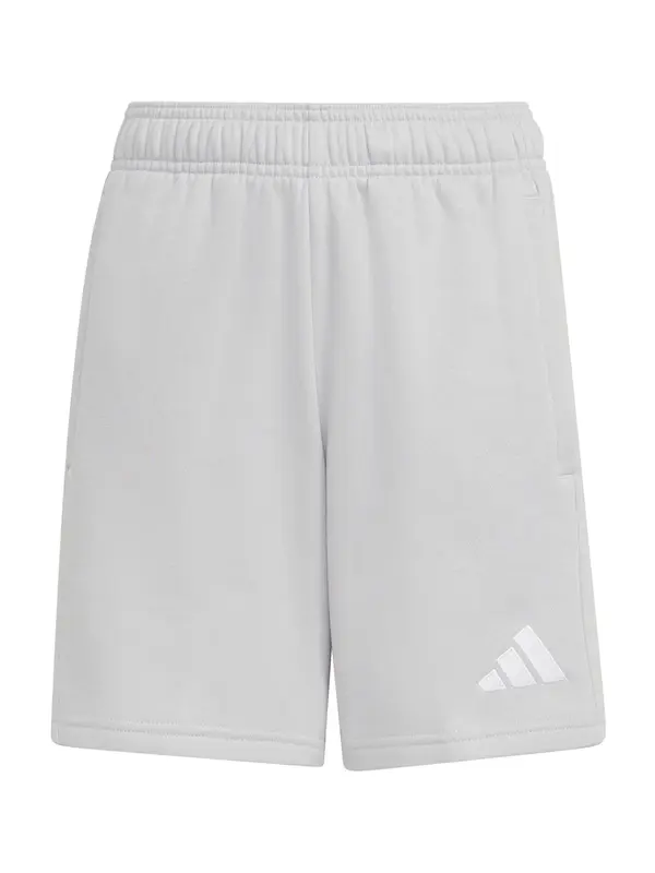 ADIDAS PERFORMANCE ADIDAS PERFORMANCE Športne hlače 'Entrada26'  svetlo siva