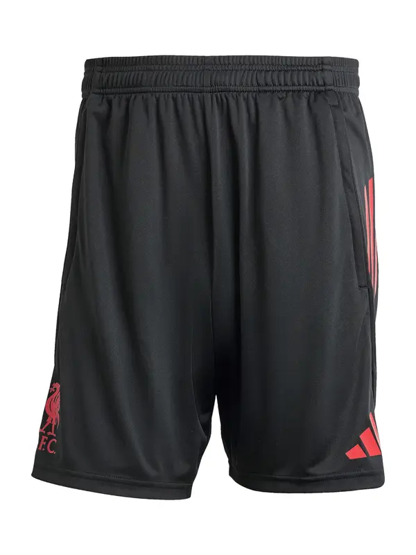 ADIDAS PERFORMANCE ADIDAS PERFORMANCE Športne hlače 'FC Liverpool Competition 2025/2026'  greige / rdeča / črna