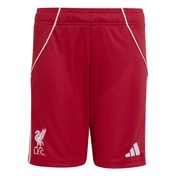 ADIDAS PERFORMANCE ADIDAS PERFORMANCE Športne hlače 'FC Liverpool FC 25/26'  rdeča / bela