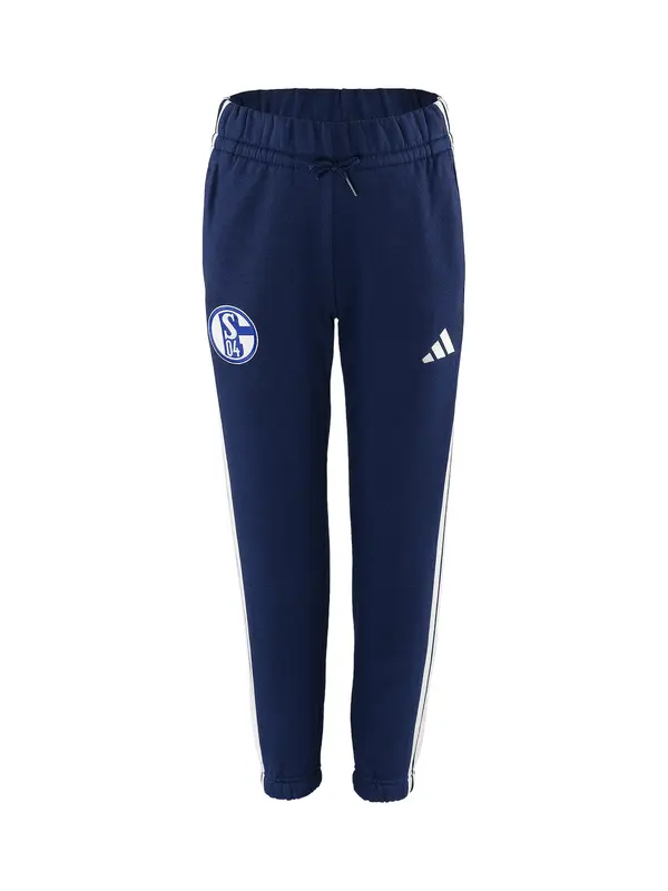 ADIDAS PERFORMANCE ADIDAS PERFORMANCE Športne hlače 'FC Schalke 04'  modra / bela