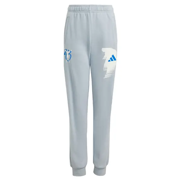 ADIDAS PERFORMANCE ADIDAS PERFORMANCE Športne hlače 'Jude Bellingham'  modra / svetlo siva / off-bela