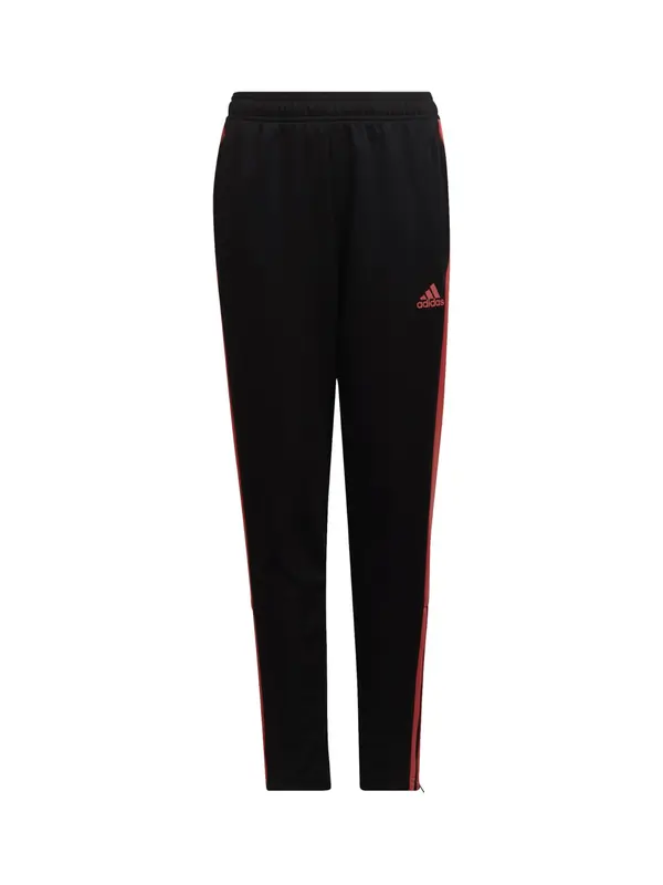 ADIDAS PERFORMANCE ADIDAS PERFORMANCE Športne hlače  krvavo rdeča / črna
