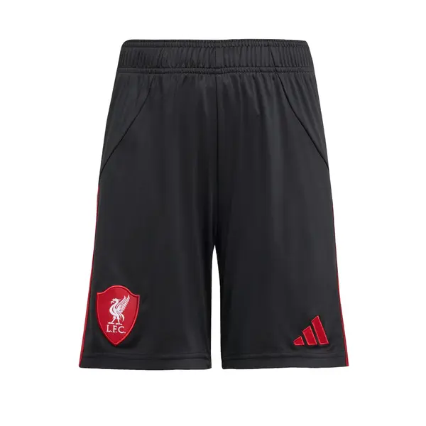 ADIDAS PERFORMANCE ADIDAS PERFORMANCE Športne hlače 'Liverpool FC 25/26'  rdeča / črna / bela