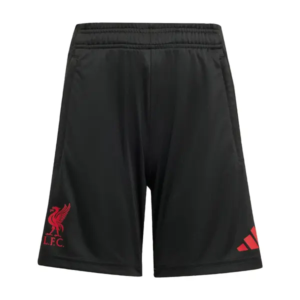 ADIDAS PERFORMANCE ADIDAS PERFORMANCE Športne hlače 'Liverpool FC Tiro 25 Competition'  pesek / rdeča / črna