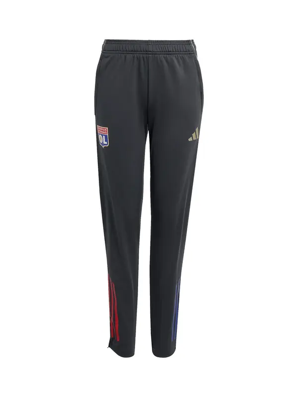 ADIDAS PERFORMANCE ADIDAS PERFORMANCE Športne hlače  modra / zlata / siva / rdeča