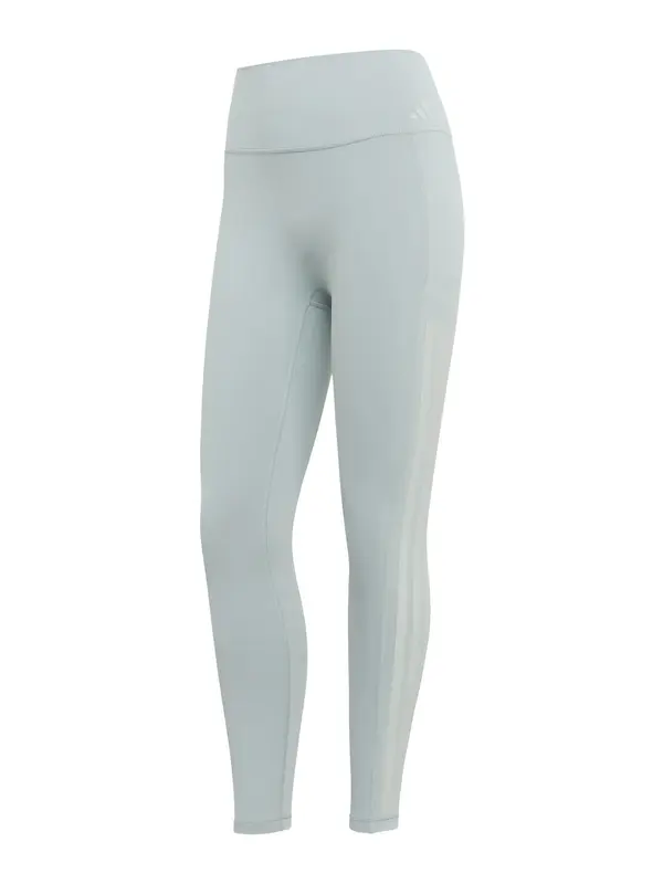 ADIDAS PERFORMANCE ADIDAS PERFORMANCE Športne hlače  pastelno zelena