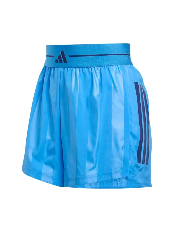 ADIDAS PERFORMANCE ADIDAS PERFORMANCE Športne hlače 'Q2 Hyg'  nebeško modra / svetlo modra / črna
