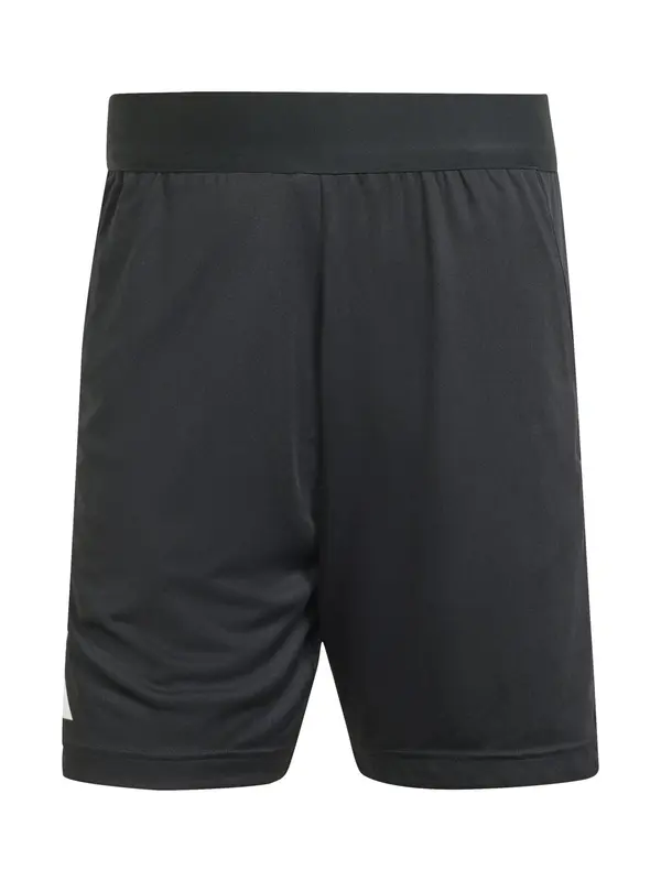 ADIDAS PERFORMANCE ADIDAS PERFORMANCE Športne hlače 'Referee 24'  črna / bela