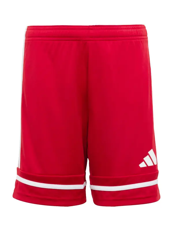 ADIDAS PERFORMANCE ADIDAS PERFORMANCE Športne hlače 'Squadra 25'  karminsko rdeča / bela