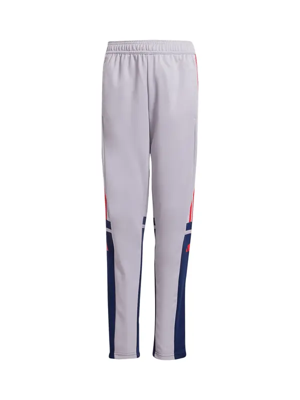 ADIDAS PERFORMANCE ADIDAS PERFORMANCE Športne hlače 'Squadra 25'  marine / mauve / temno rdeča