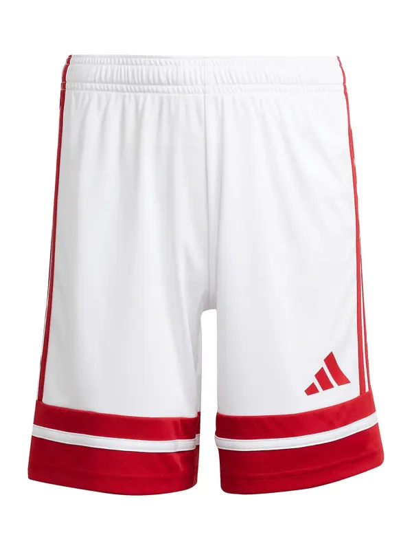 ADIDAS PERFORMANCE ADIDAS PERFORMANCE Športne hlače 'Squadra 25'  rdeča / bela