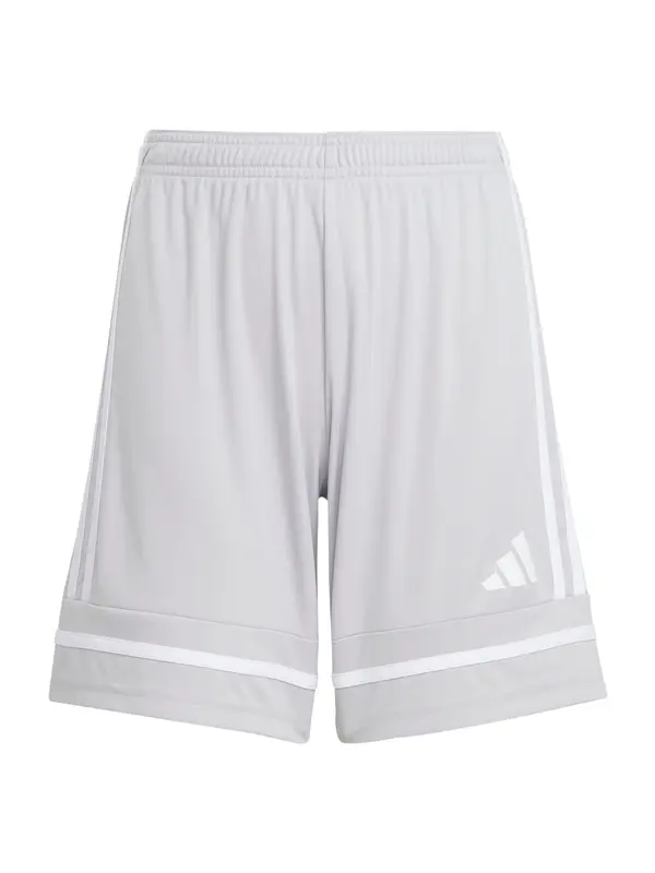 ADIDAS PERFORMANCE ADIDAS PERFORMANCE Športne hlače 'Squadra 25'  siva / bela