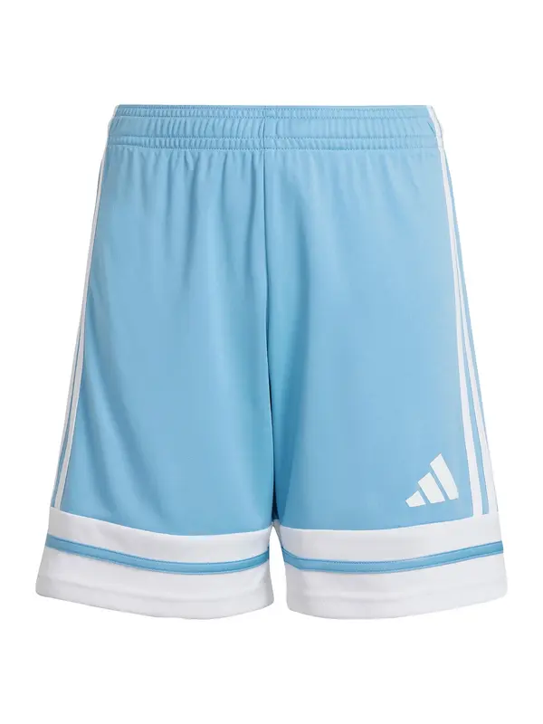 ADIDAS PERFORMANCE ADIDAS PERFORMANCE Športne hlače 'Squadra 25'  svetlo modra / bela