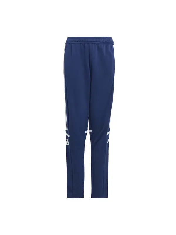 ADIDAS PERFORMANCE ADIDAS PERFORMANCE Športne hlače 'Squadra 25'  temno modra / bela