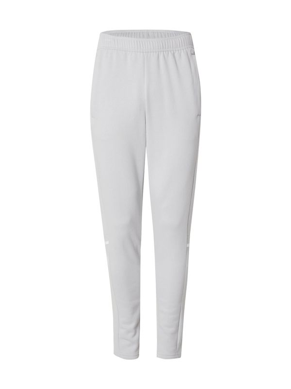 ADIDAS PERFORMANCE ADIDAS PERFORMANCE Športne hlače  svetlo siva / bela