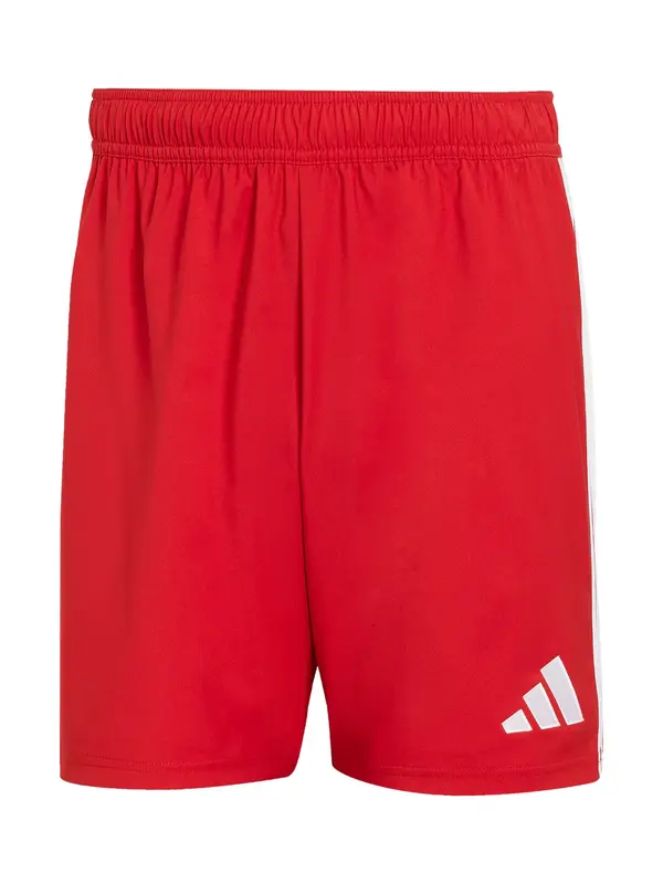 ADIDAS PERFORMANCE ADIDAS PERFORMANCE Športne hlače 'Tastigo 25'  rdeča / bela