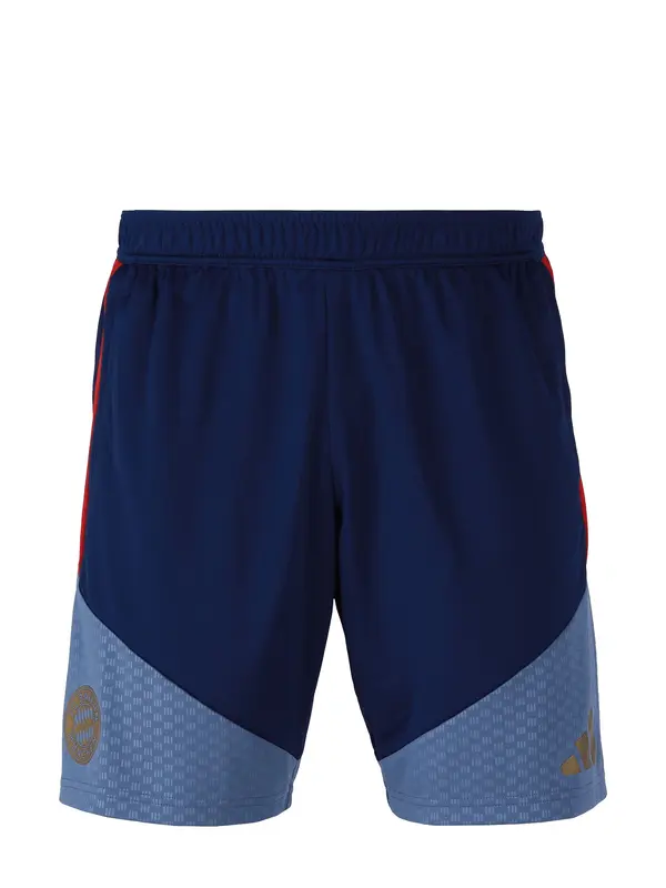 ADIDAS PERFORMANCE ADIDAS PERFORMANCE Športne hlače 'Teamline'  golobje modra / temno modra / rdeča