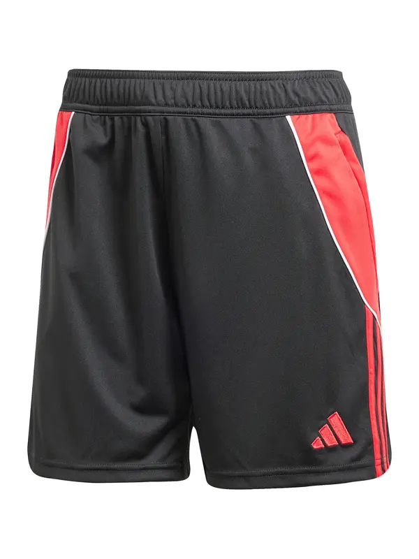 ADIDAS PERFORMANCE ADIDAS PERFORMANCE Športne hlače 'Tiro 24'  krvavo rdeča / črna / bela