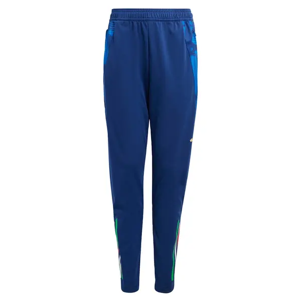 ADIDAS PERFORMANCE ADIDAS PERFORMANCE Športne hlače 'Tiro 24'  modra