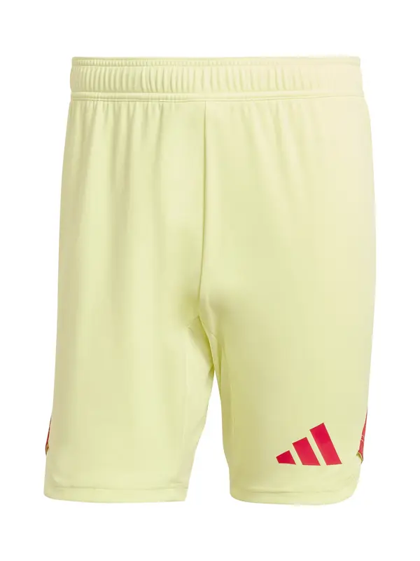 ADIDAS PERFORMANCE ADIDAS PERFORMANCE Športne hlače 'Tiro 25 Pro'  pastelno rumena / rdeča