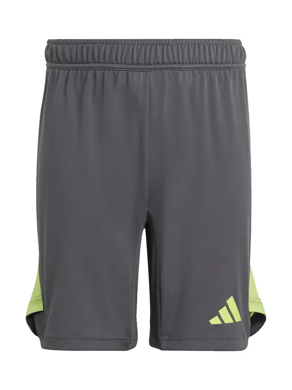 ADIDAS PERFORMANCE ADIDAS PERFORMANCE Športne hlače 'Tiro 25 Pro'  temno siva / jabolko
