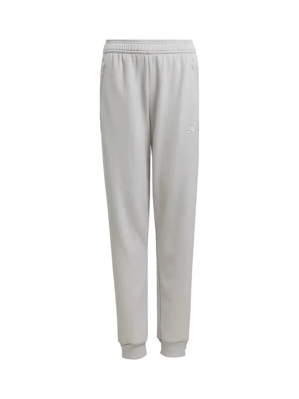 ADIDAS PERFORMANCE ADIDAS PERFORMANCE Športne hlače 'Tiro 25 Travel'  siva