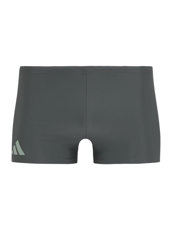 ADIDAS PERFORMANCE ADIDAS PERFORMANCE Športne kopalne hlače  dimno-siva / temno siva