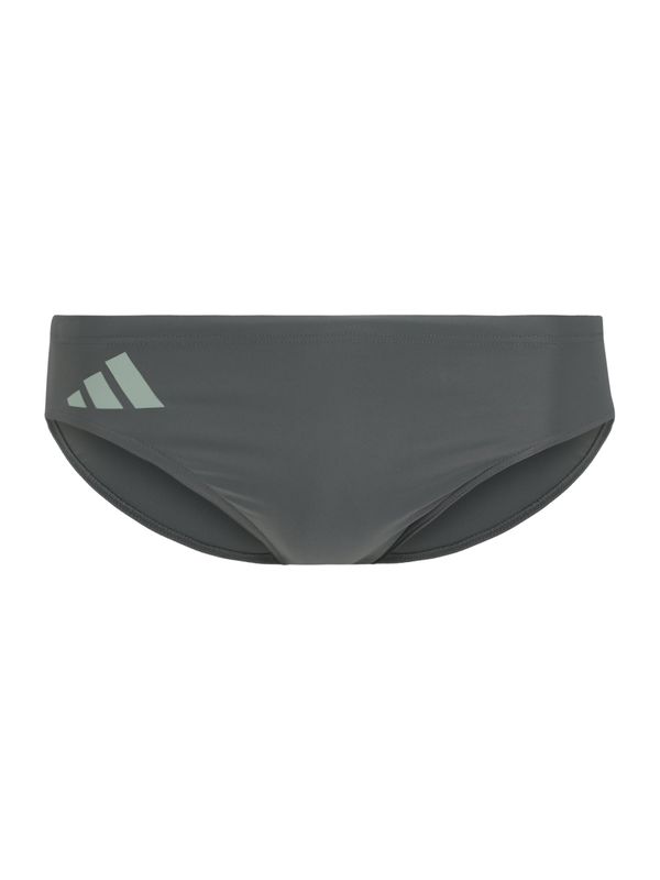 ADIDAS PERFORMANCE ADIDAS PERFORMANCE Športne kopalne hlače  temno siva / meta