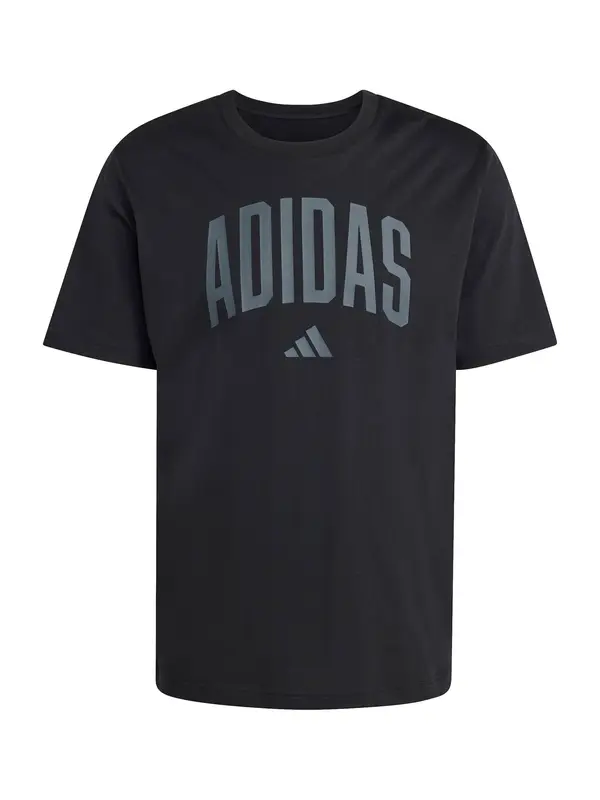 ADIDAS SPORTSWEAR ADIDAS SPORTSWEAR Funkcionalna majica 'Collegiate Lineage'  temno siva / črna