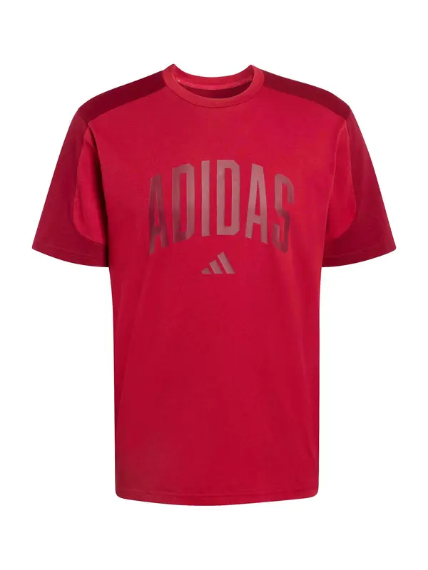 ADIDAS SPORTSWEAR ADIDAS SPORTSWEAR Funkcionalna majica 'COLLEGIATE'  rdeča / krvavo rdeča