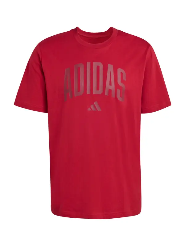 ADIDAS SPORTSWEAR ADIDAS SPORTSWEAR Funkcionalna majica 'COLLEGIATE'  rdeča / temno rdeča