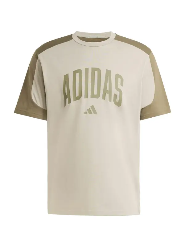 ADIDAS SPORTSWEAR ADIDAS SPORTSWEAR Funkcionalna majica 'COLLEGIATE'  temno siva / oliva