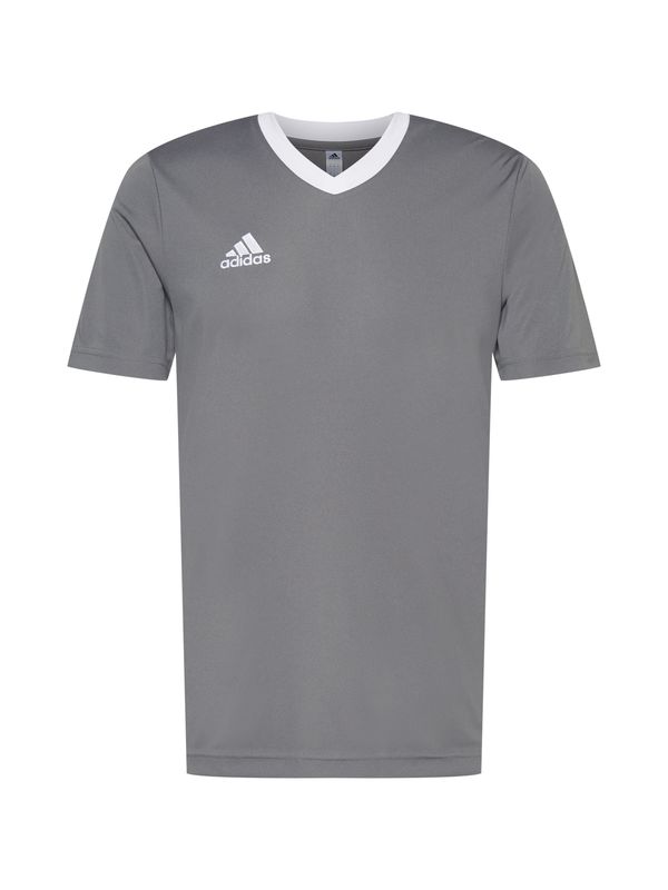 ADIDAS SPORTSWEAR ADIDAS SPORTSWEAR Funkcionalna majica 'Entrada 22'  siva / bela