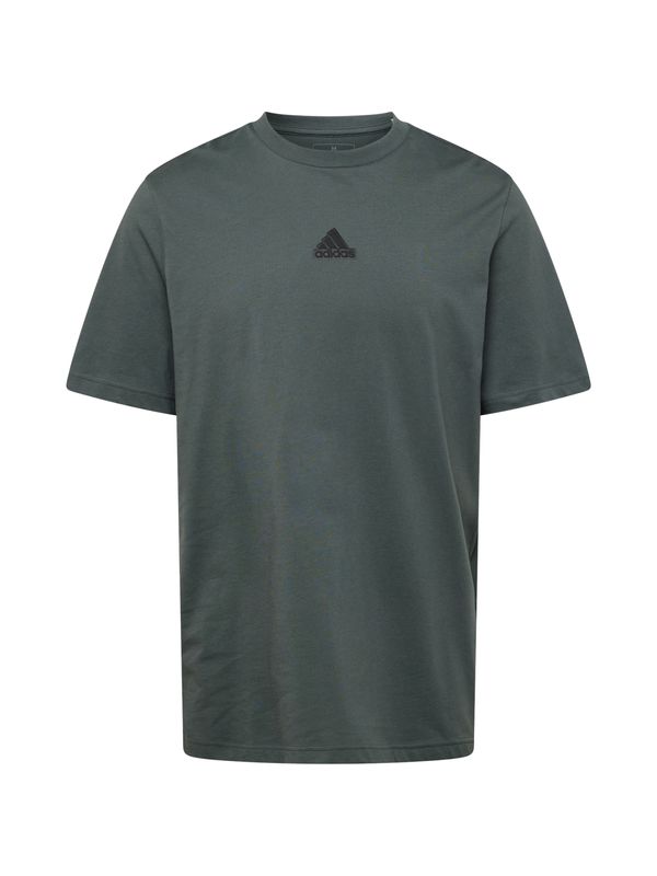 ADIDAS SPORTSWEAR ADIDAS SPORTSWEAR Funkcionalna majica 'FRACTAL'  siva / temno siva / pastelno zelena