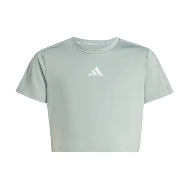 ADIDAS SPORTSWEAR ADIDAS SPORTSWEAR Funkcionalna majica 'Train Essentials Seasonal'  pastelno zelena / bela