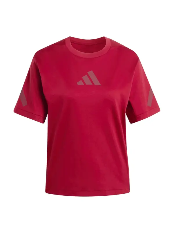 ADIDAS SPORTSWEAR ADIDAS SPORTSWEAR Funkcionalna majica 'Z.N.E.'  antracit / temno rdeča