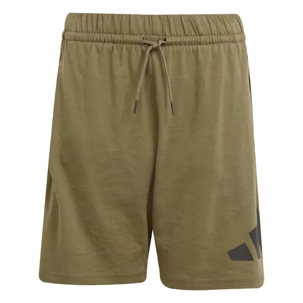 ADIDAS SPORTSWEAR ADIDAS SPORTSWEAR Hlače 'Essentials'  kaki / črna
