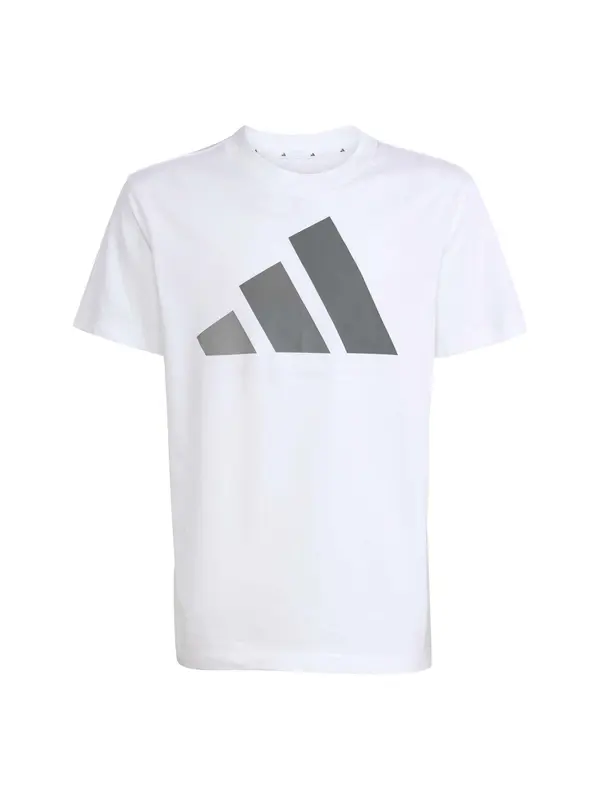 ADIDAS SPORTSWEAR ADIDAS SPORTSWEAR Majica 'Essentials'  siva / bela
