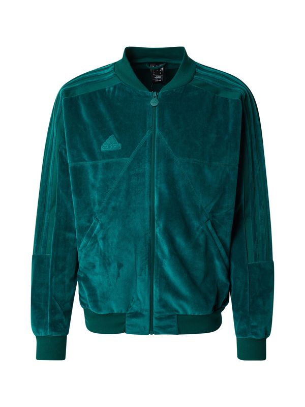 ADIDAS SPORTSWEAR ADIDAS SPORTSWEAR Pletena jopa  zelena