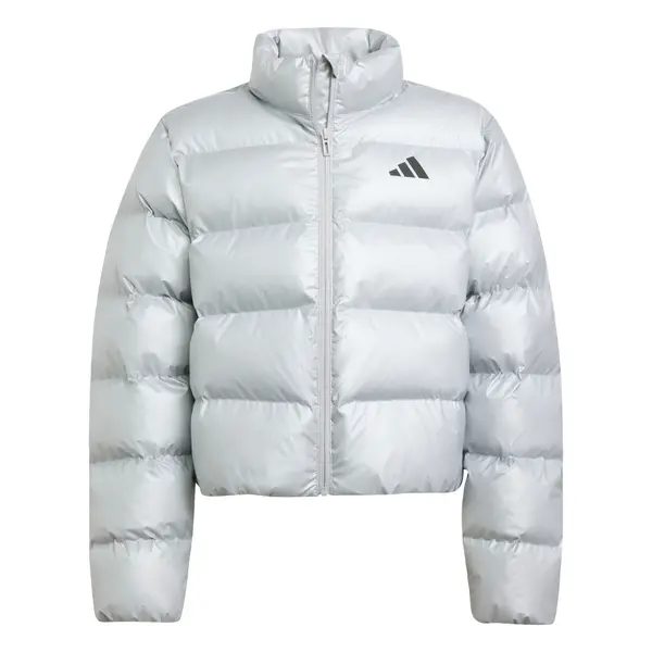ADIDAS SPORTSWEAR ADIDAS SPORTSWEAR Športna jakna  črna / srebrna